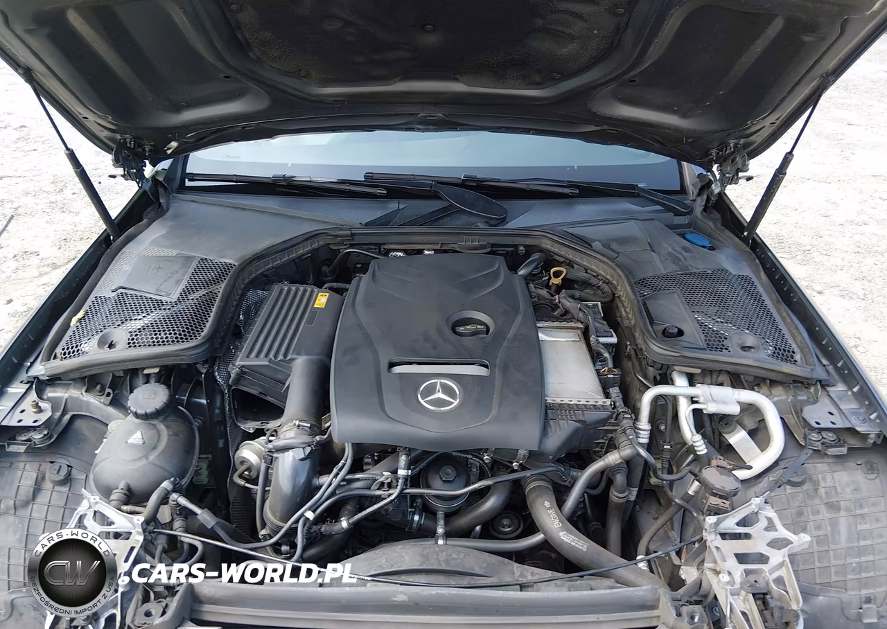 2018 Mercedes-Benz C 300 VIN:WDDWJ4JB7JF684077 - 10