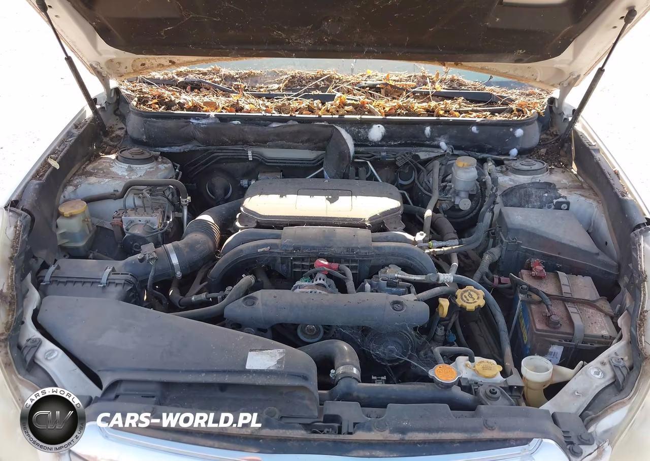 2011 Subaru Outback 2.5I Premium VIN:4S4BRCCC1B3443454 - 10