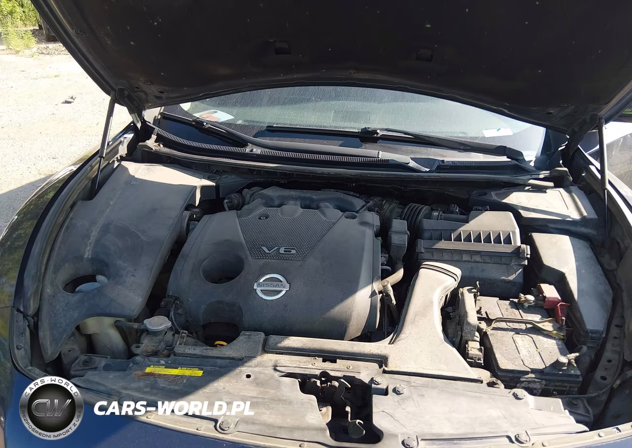 2013 Nissan Maxima 3.5 Sv VIN:1N4AA5AP8DC810867 - 10
