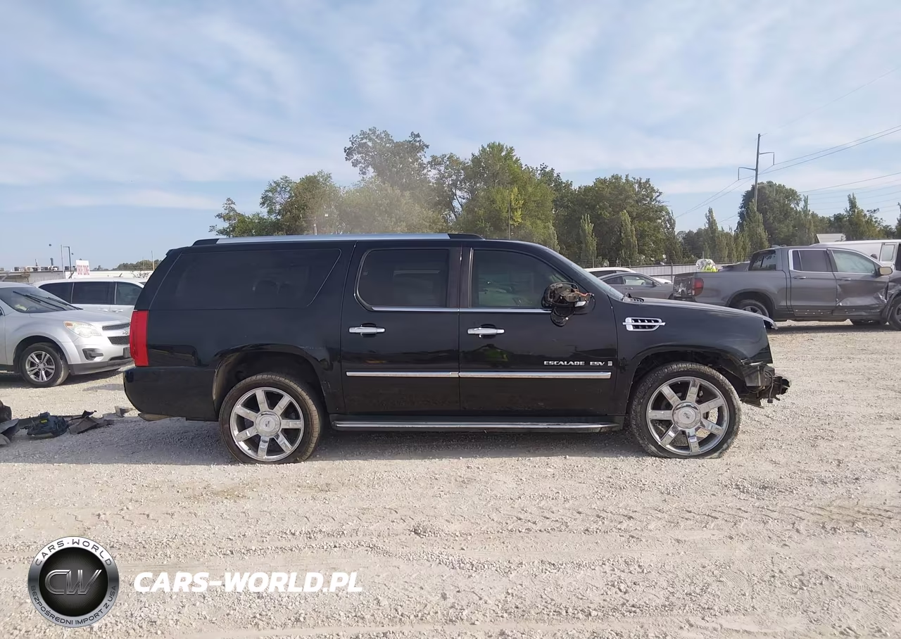 2009 Cadillac Escalade Esv Standard VIN:1GYFK26209R289733 - 14