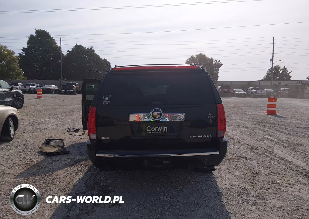 2009 Cadillac Escalade Esv Standard VIN:1GYFK26209R289733 - 17