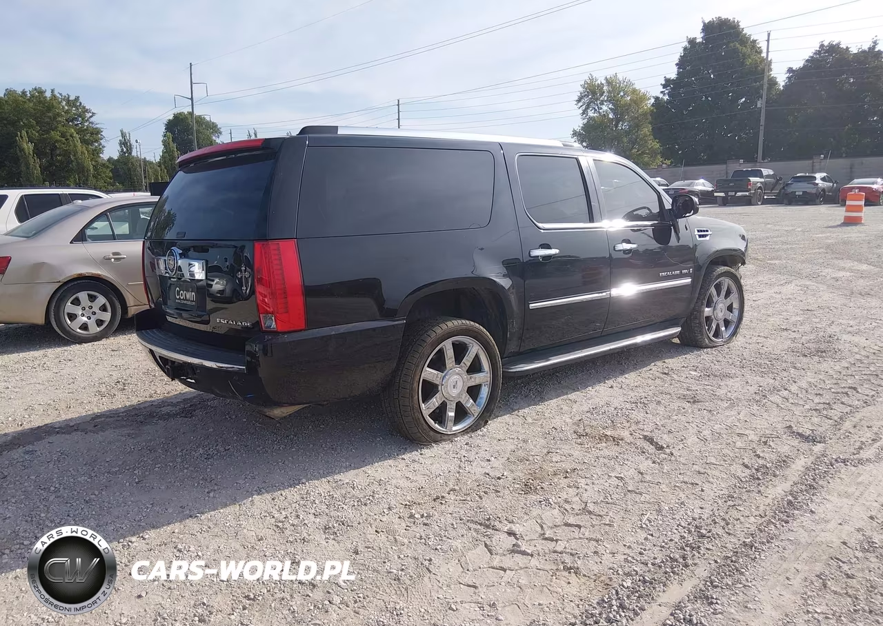 2009 Cadillac Escalade Esv Standard VIN:1GYFK26209R289733 - 4