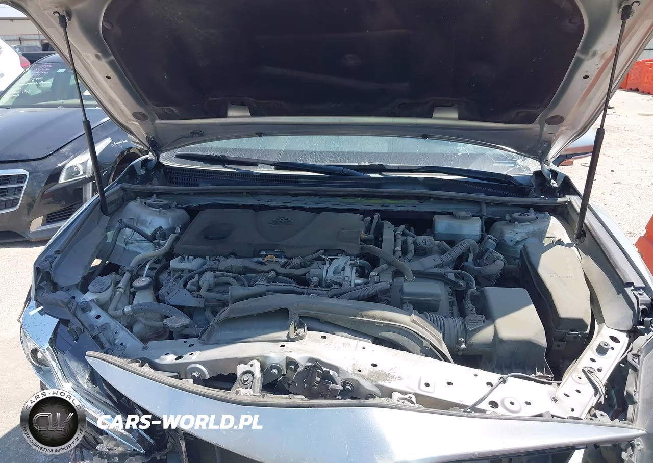 2020 Toyota Camry Xle Hybrid VIN:4T1F31AK3LU522511 - 10