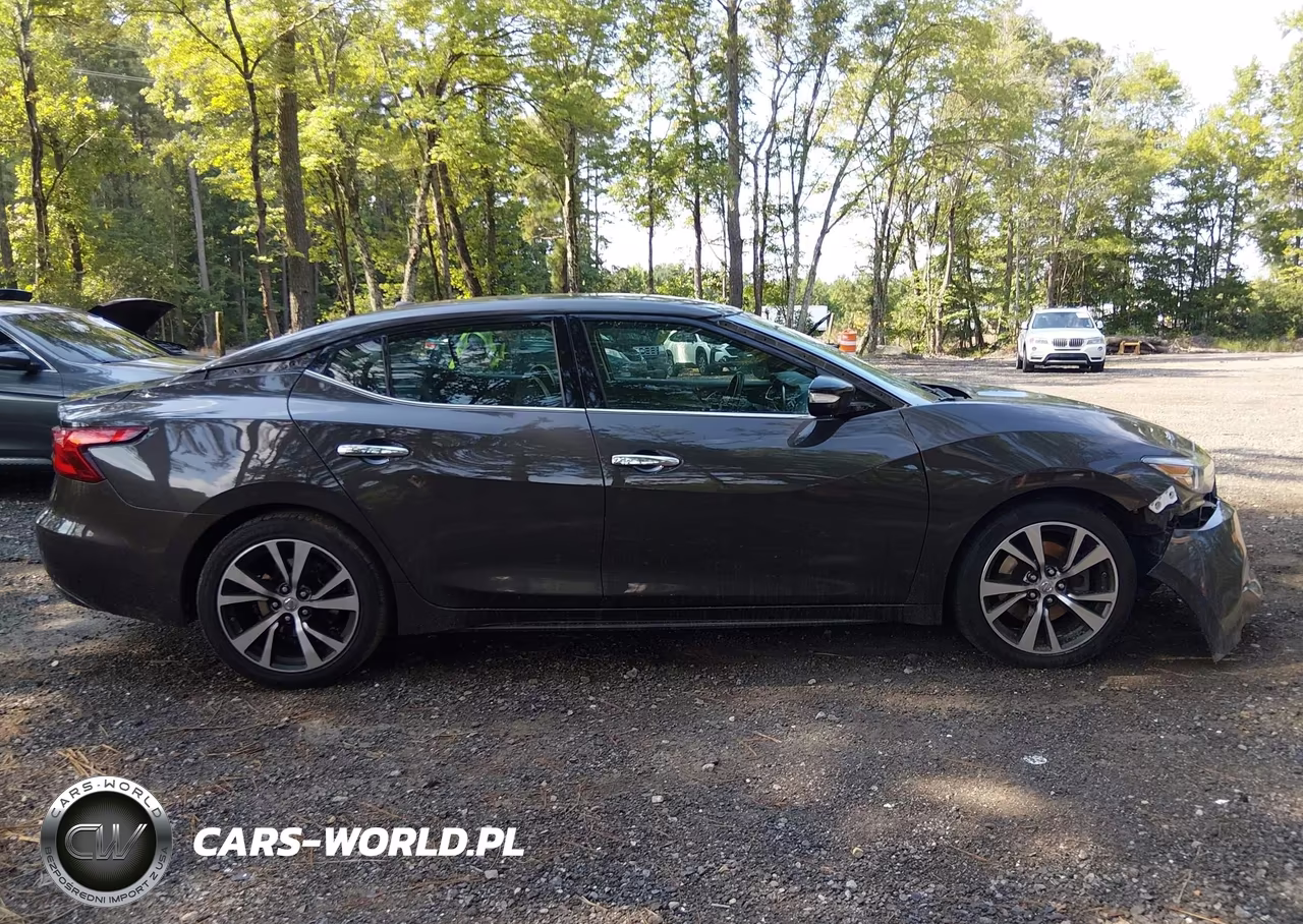 2017 Nissan Maxima 3.5 Platinum-3.5 S-3.5 Sl-3.5 Sr-3.5 Sv VIN:1N4AA6AP1HC379025 - 12