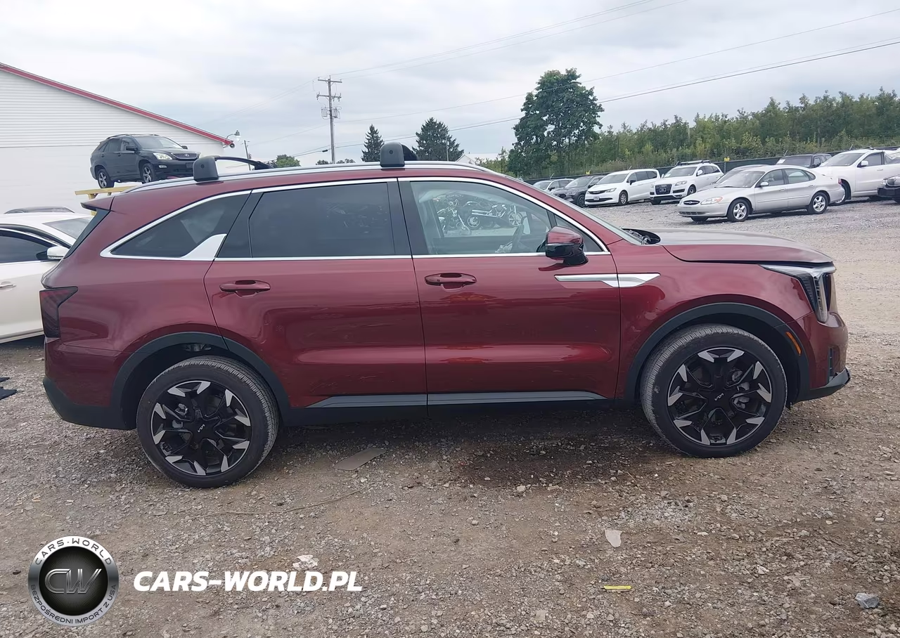 2025 Kia Sorento Ex VIN:5XYRHDJF2SG381888 - 13