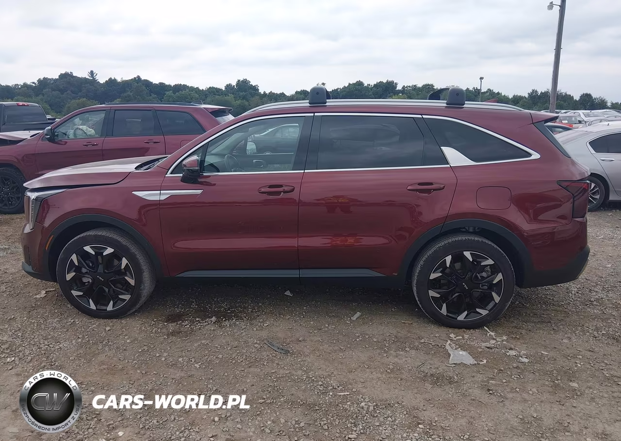 2025 Kia Sorento Ex VIN:5XYRHDJF2SG381888 - 14