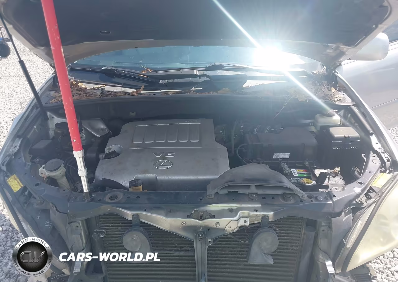 2009 Lexus Rx 350 VIN:2T2GK31U19C064753 - 10