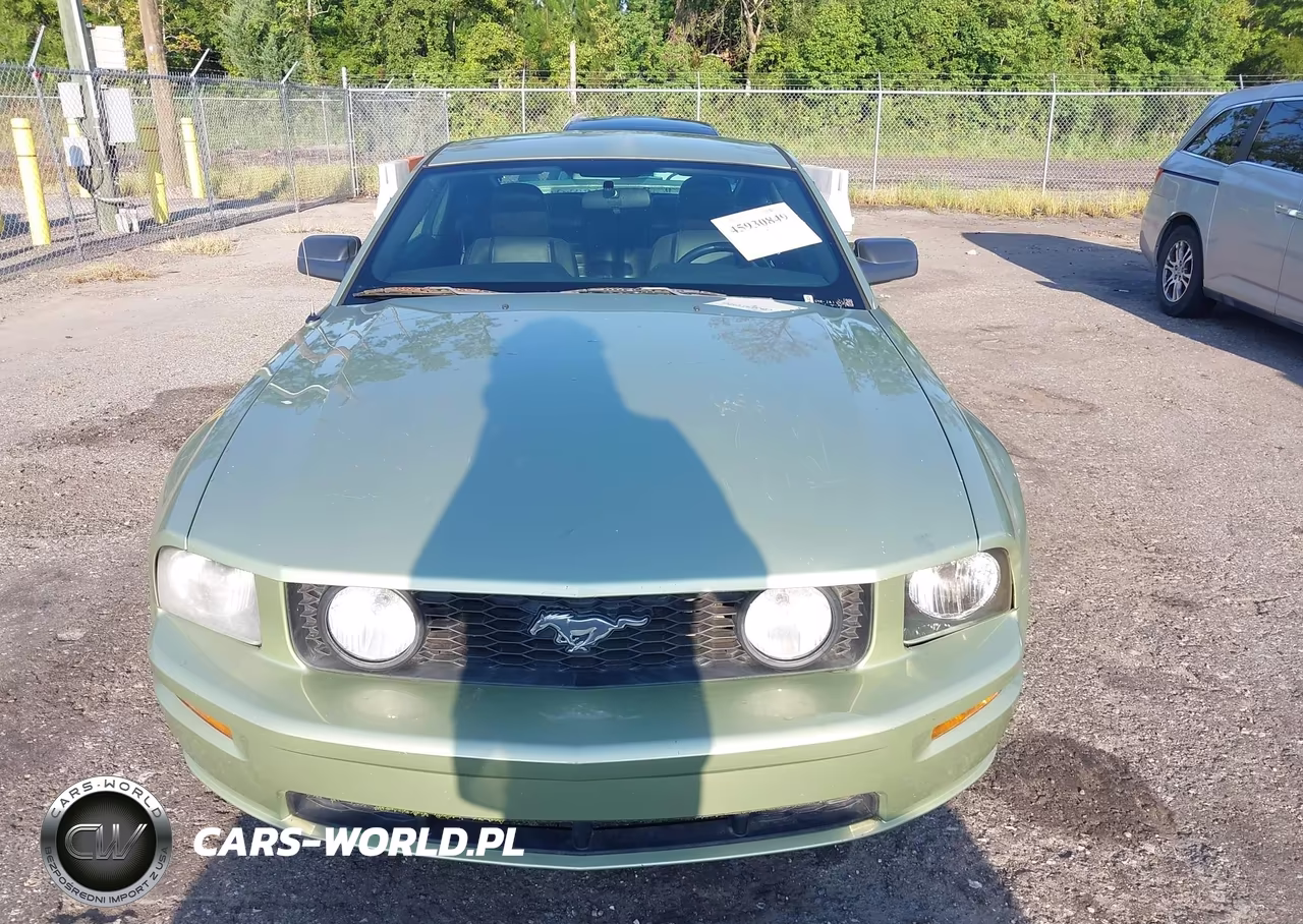 2006 Ford Mustang Gt VIN:1ZVFT82H465228370 - 12