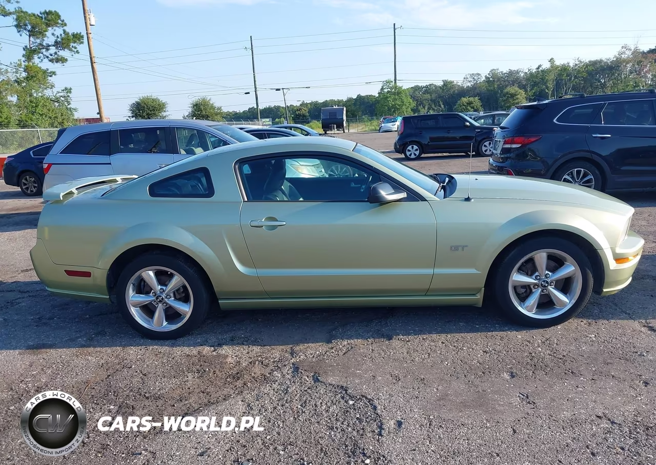 2006 Ford Mustang Gt VIN:1ZVFT82H465228370 - 13