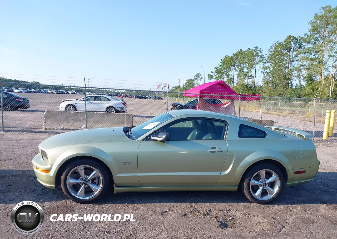 2006 Ford Mustang Gt VIN:1ZVFT82H465228370 - 14