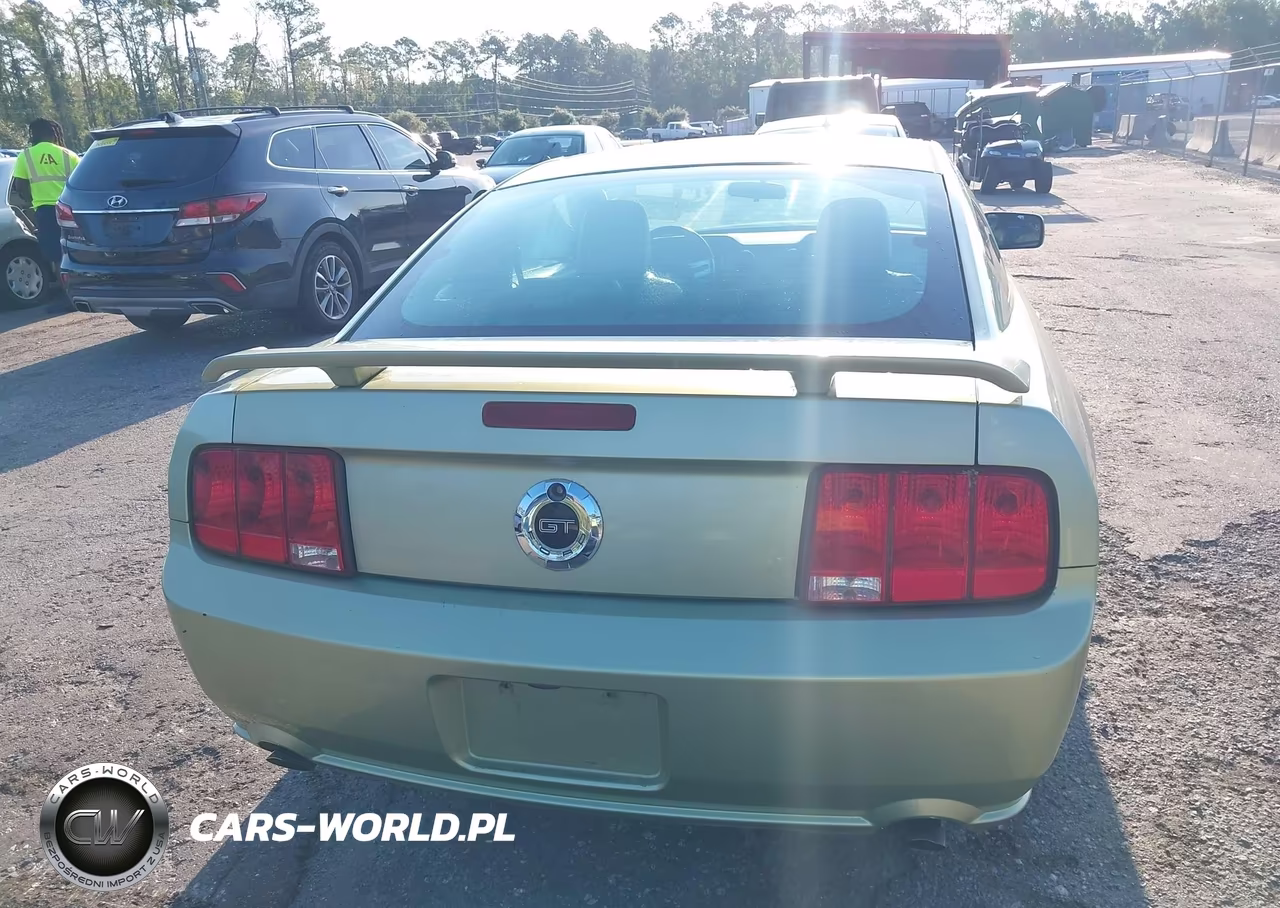 2006 Ford Mustang Gt VIN:1ZVFT82H465228370 - 16