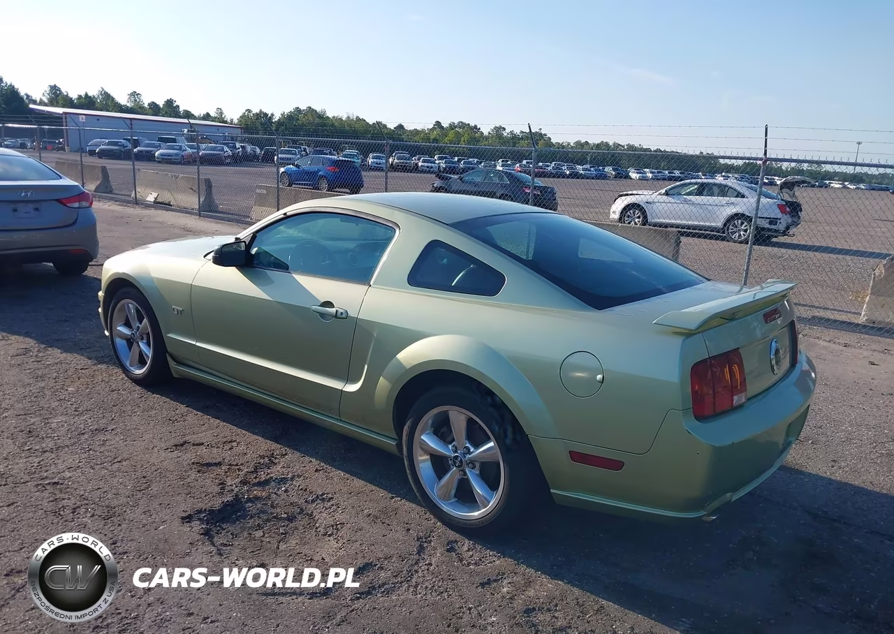 2006 Ford Mustang Gt VIN:1ZVFT82H465228370 - 3
