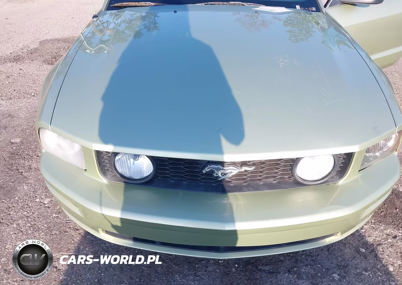 2006 Ford Mustang Gt VIN:1ZVFT82H465228370 - 6