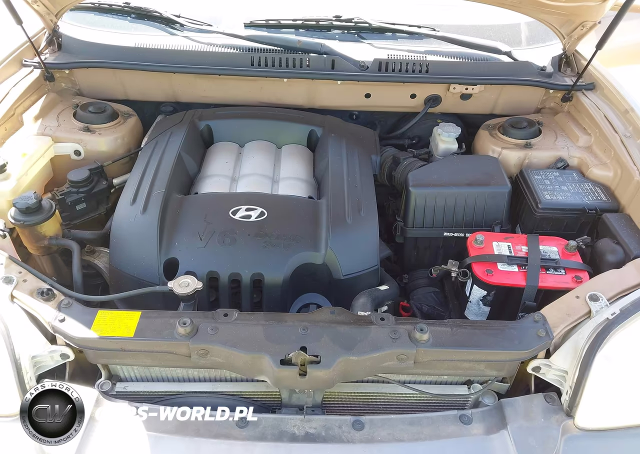2002 Hyundai Santa Fe Gls-Lx VIN:KM8SC13D52U270384 - 10