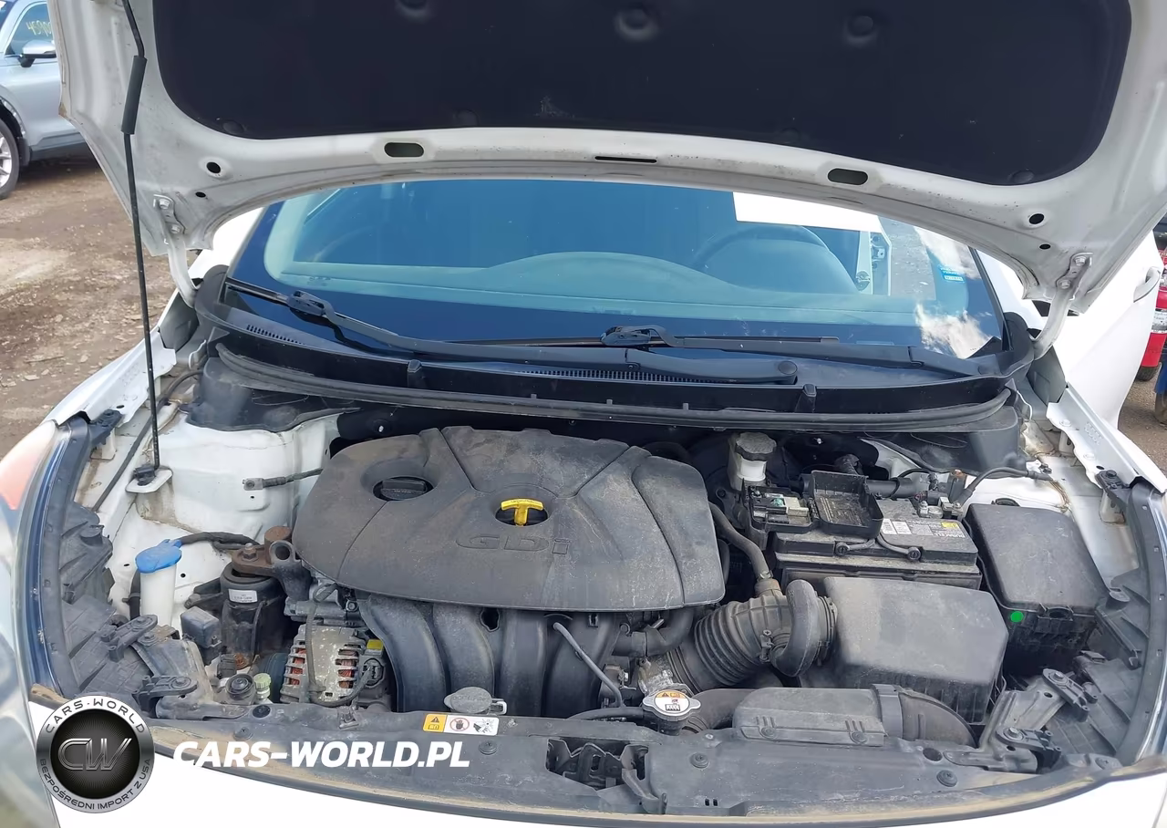 2014 Hyundai Elantra Gt VIN:KMHD35LH2EU170914 - 10