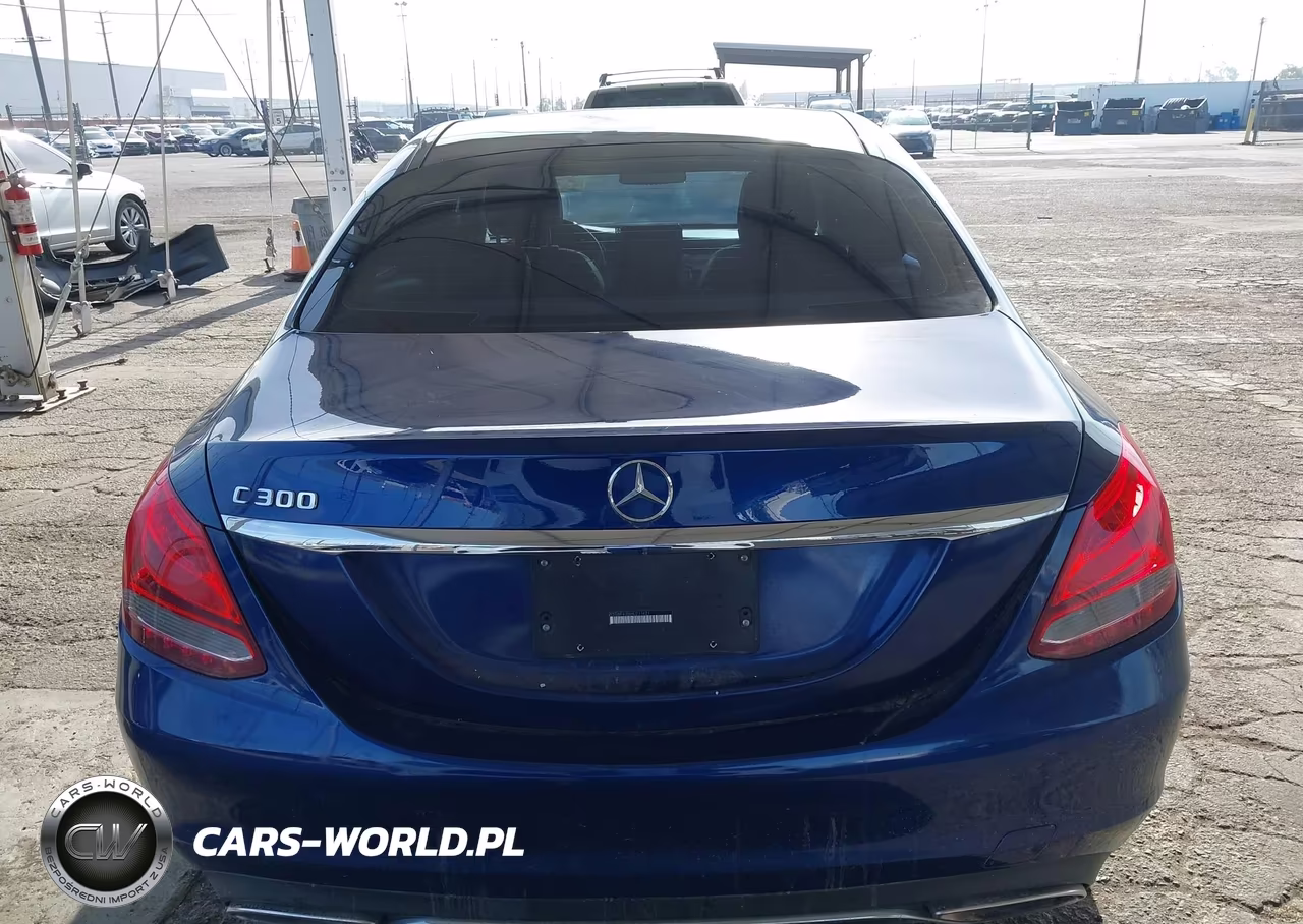 2017 Mercedes-Benz C 300 Luxury-Sport VIN:55SWF4JB6HU211621 - 16