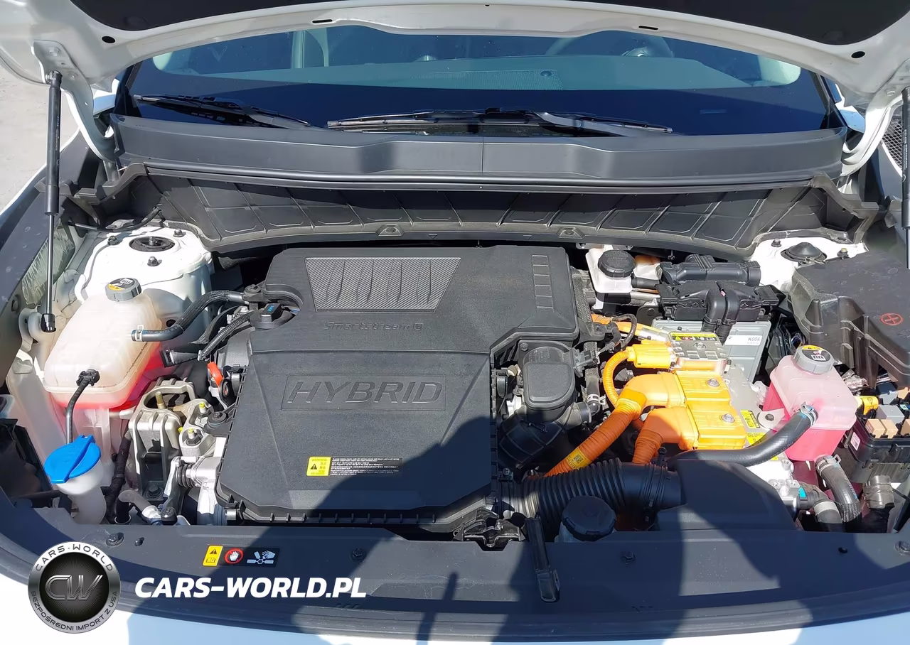 2023 Kia Niro Ex VIN:KNDCR3LE4P5078144 - 10