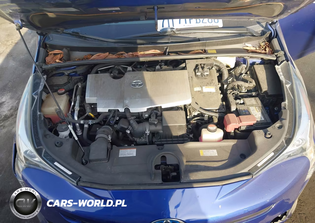 2016 Toyota Prius Two Eco VIN:JTDKARFU7G3507751 - 10