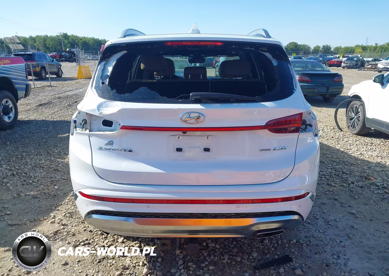 2021 Hyundai Santa Fe Calligraphy VIN:5NMS5DAL3MH357866 - 17