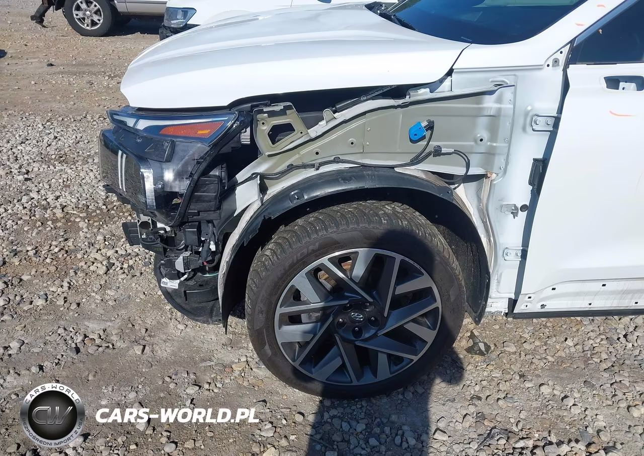 2021 Hyundai Santa Fe Calligraphy VIN:5NMS5DAL3MH357866 - 18