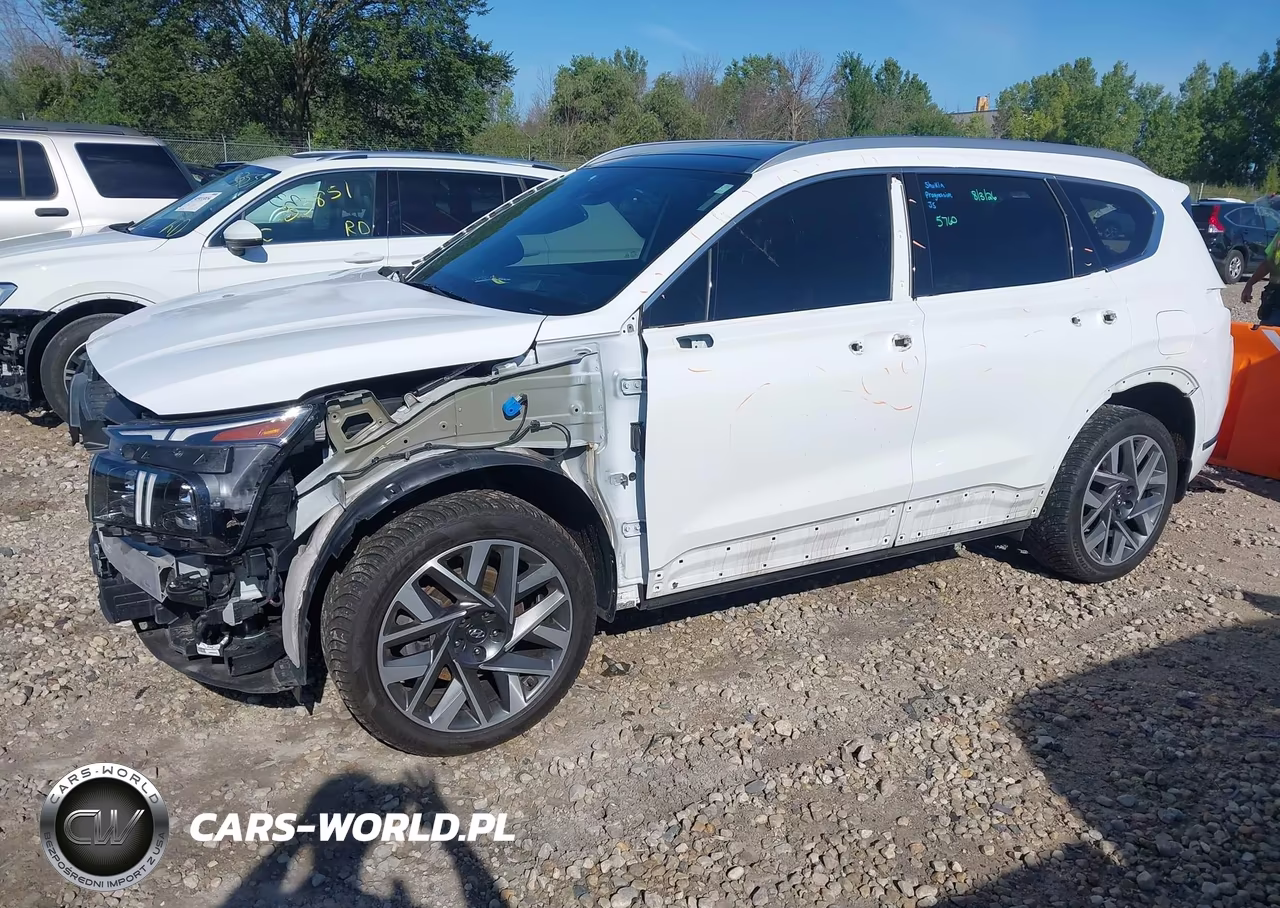 2021 Hyundai Santa Fe Calligraphy VIN:5NMS5DAL3MH357866 - 2