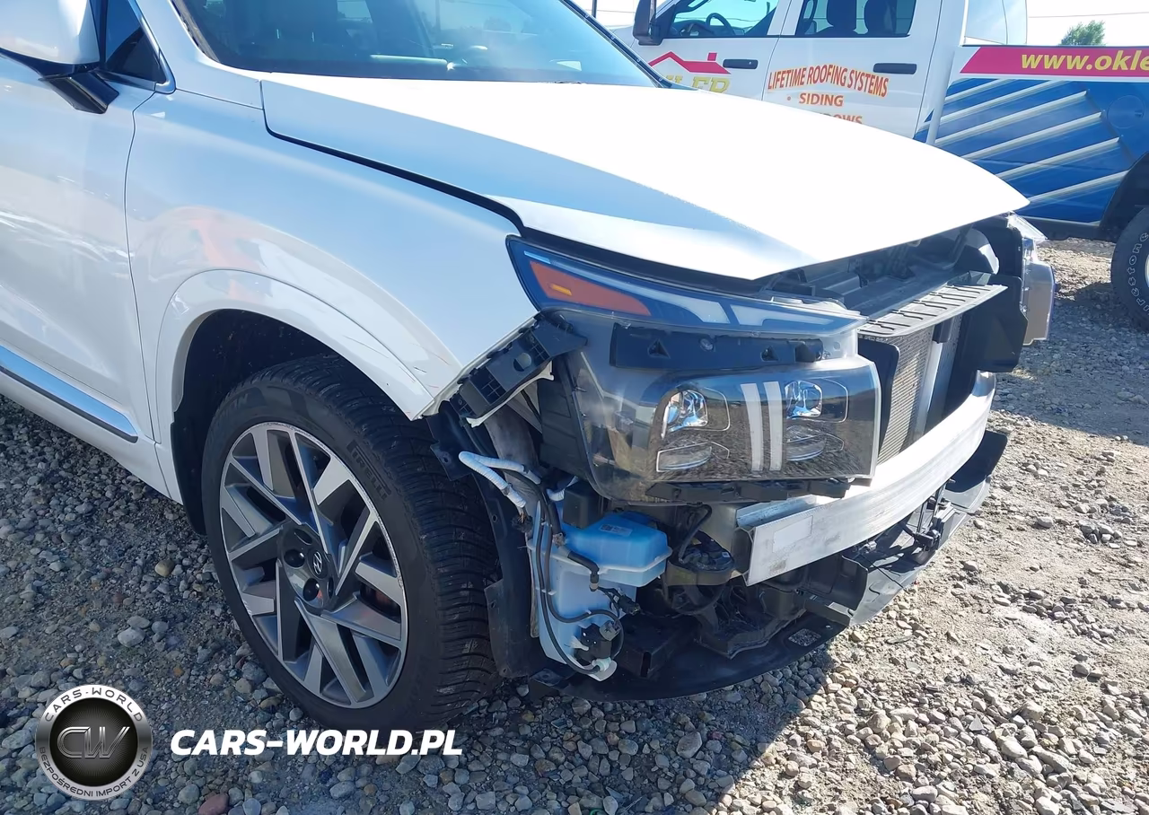 2021 Hyundai Santa Fe Calligraphy VIN:5NMS5DAL3MH357866 - 20