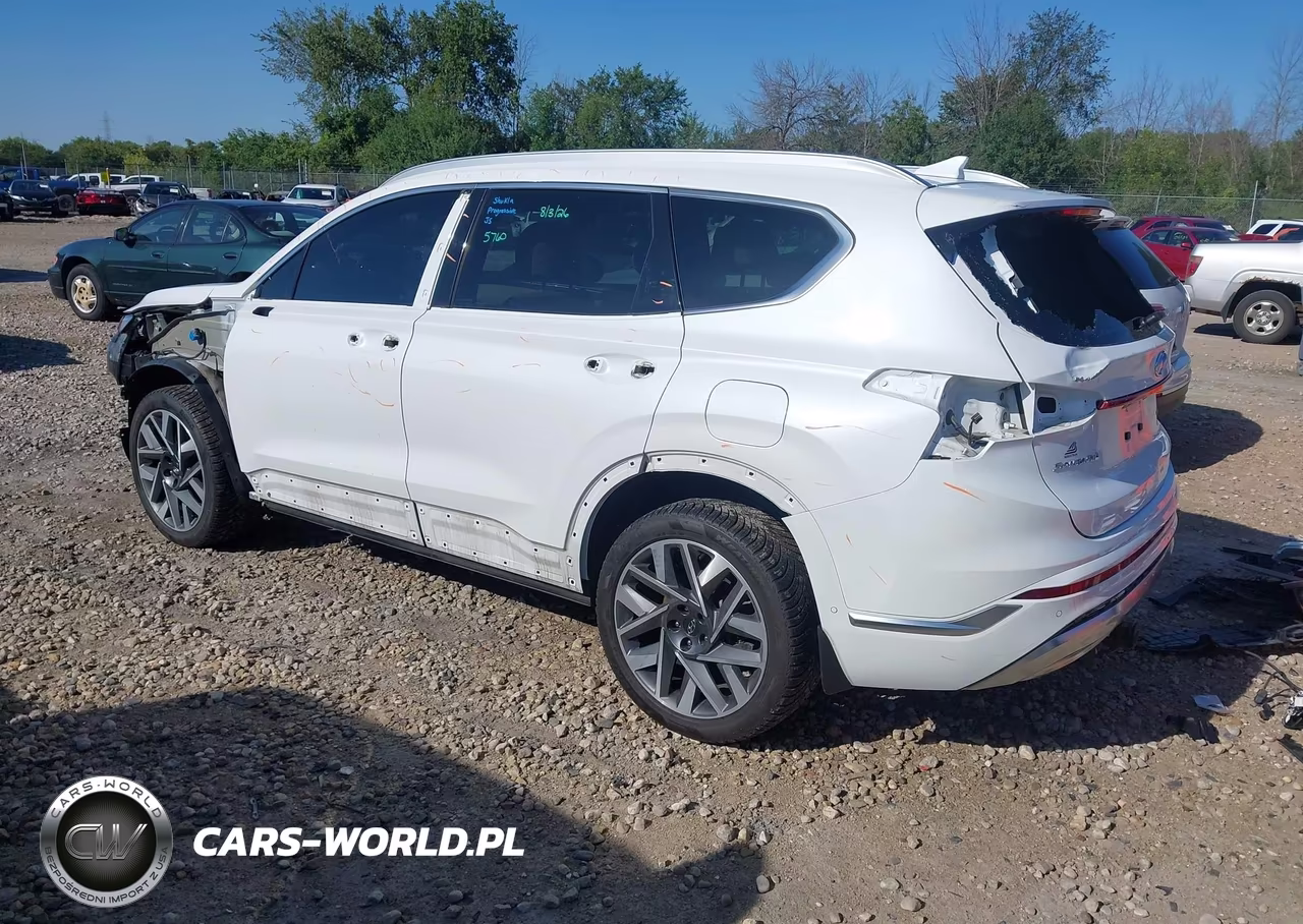 2021 Hyundai Santa Fe Calligraphy VIN:5NMS5DAL3MH357866 - 3