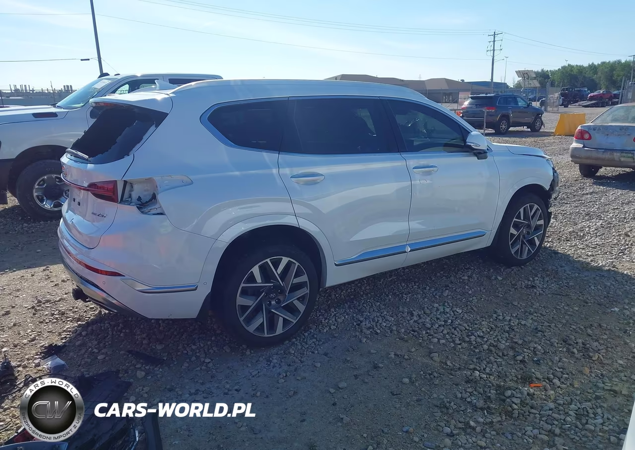 2021 Hyundai Santa Fe Calligraphy VIN:5NMS5DAL3MH357866 - 4