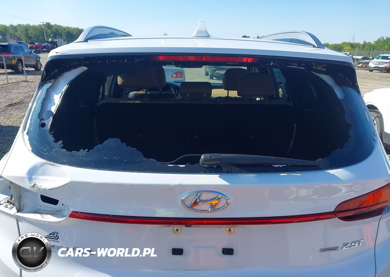 2021 Hyundai Santa Fe Calligraphy VIN:5NMS5DAL3MH357866 - 6