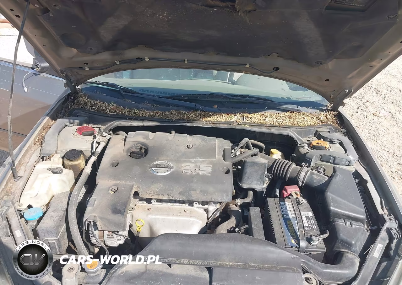 2006 Nissan Altima 2.5 S VIN:1N4AL11D76N455951 - 10