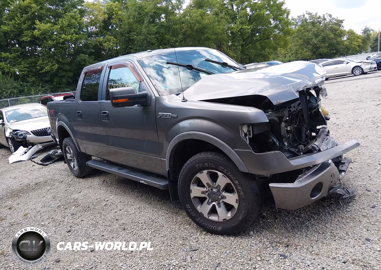 2013 Ford F-150 Fx4 – zdjęcie 1 z 16
