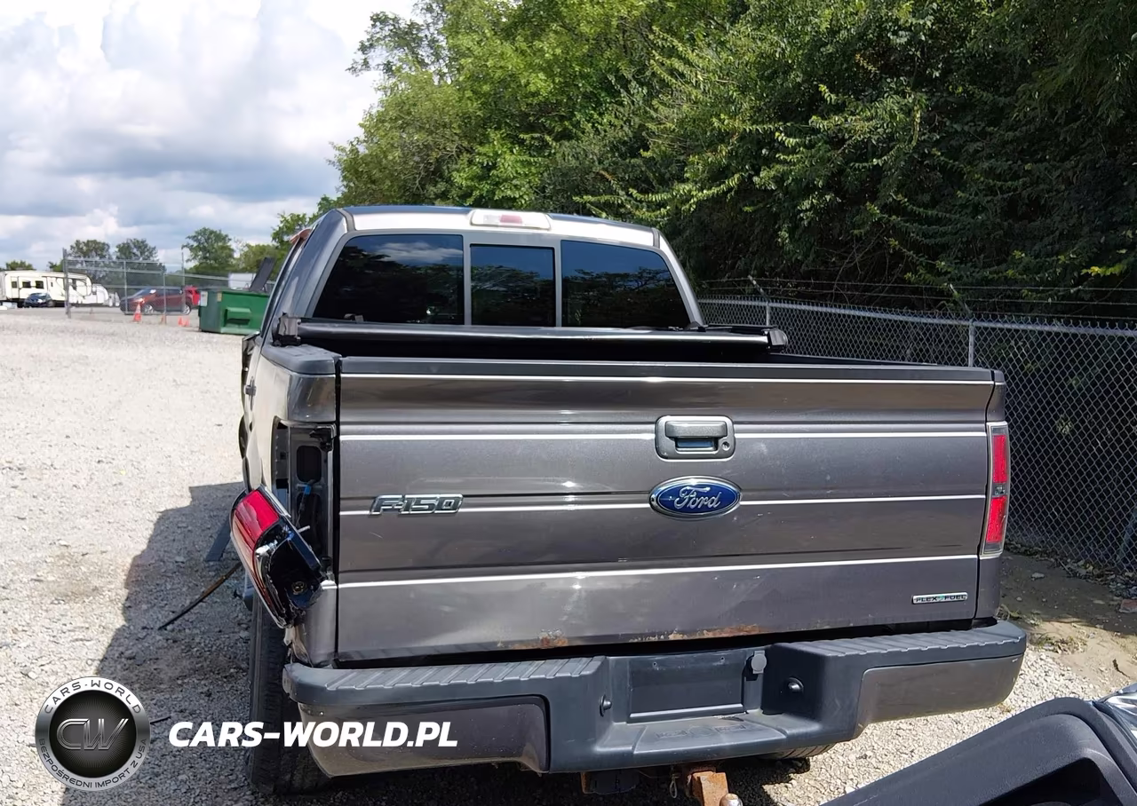 2013 Ford F-150 Fx4 VIN:1FTFW1EF1DFC68585 - 15