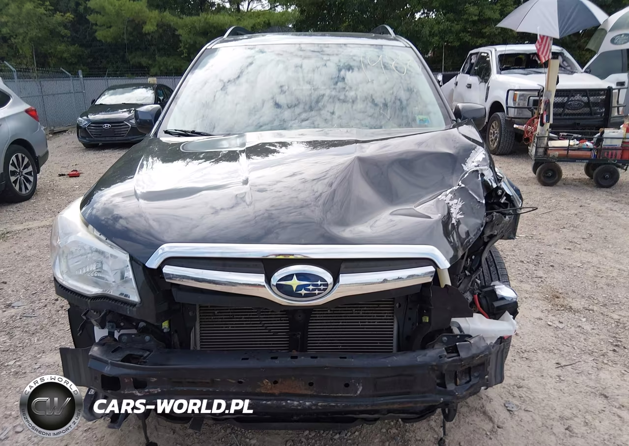 2014 Subaru Forester 2.5I Limited VIN:JF2SJAHC1EH497693 - 6