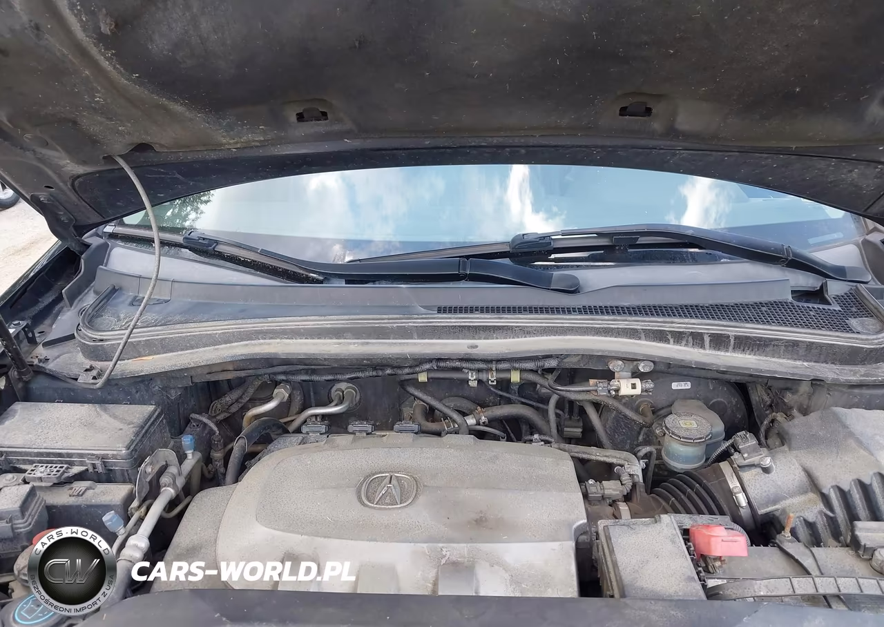 2010 Acura Mdx Advance Package VIN:2HNYD2H59AH520949 - 10