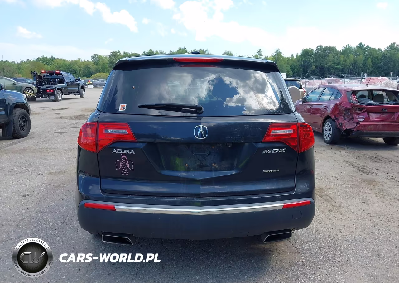 2010 Acura Mdx Advance Package VIN:2HNYD2H59AH520949 - 15
