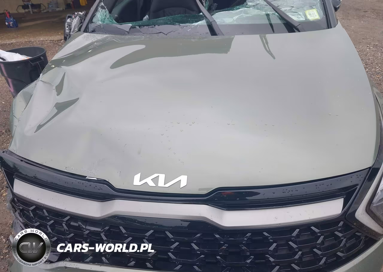 2023 Kia Sportage X-Pro VIN:5XYK7CAF2PG125918 - 10