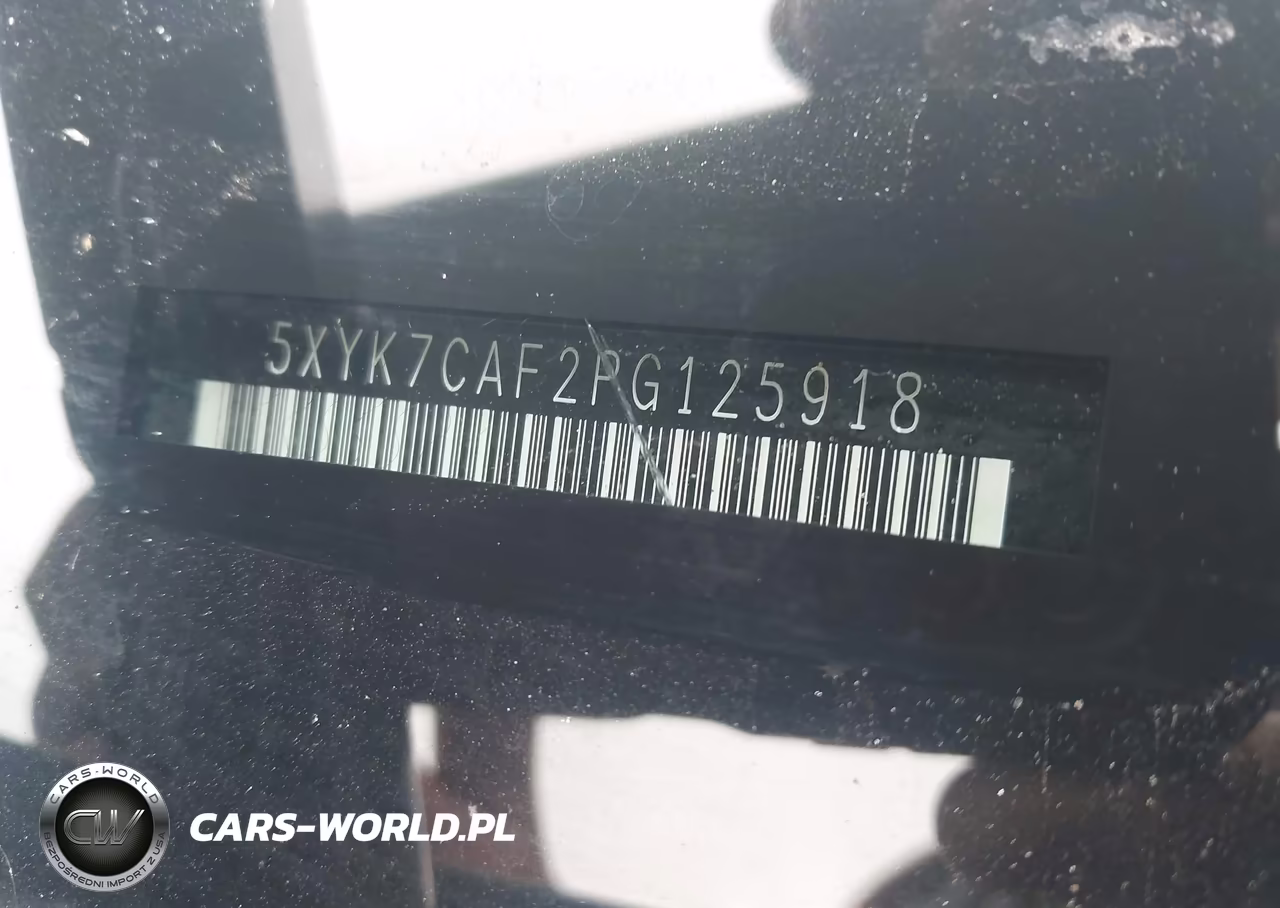 2023 Kia Sportage X-Pro VIN:5XYK7CAF2PG125918 - 9