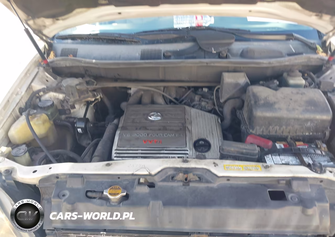 1999 Lexus Rx 300 VIN:JT6HF10U9X0047068 - 10