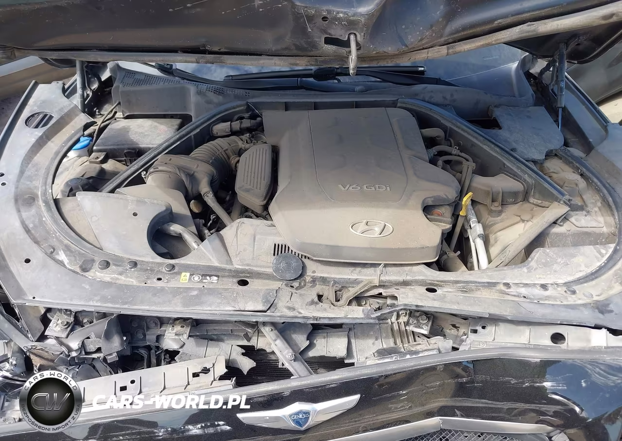 2016 Hyundai Genesis 3.8 VIN:KMHGN4JE5GU122062 - 10