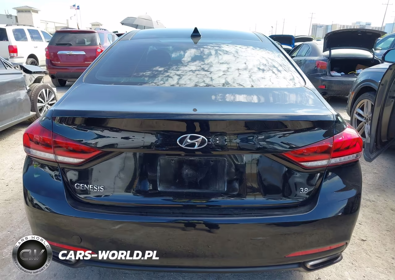 2016 Hyundai Genesis 3.8 VIN:KMHGN4JE5GU122062 - 16