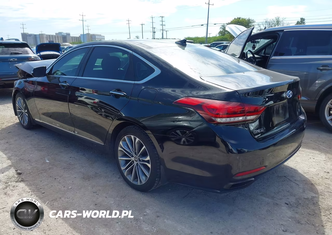 2016 Hyundai Genesis 3.8 VIN:KMHGN4JE5GU122062 - 3