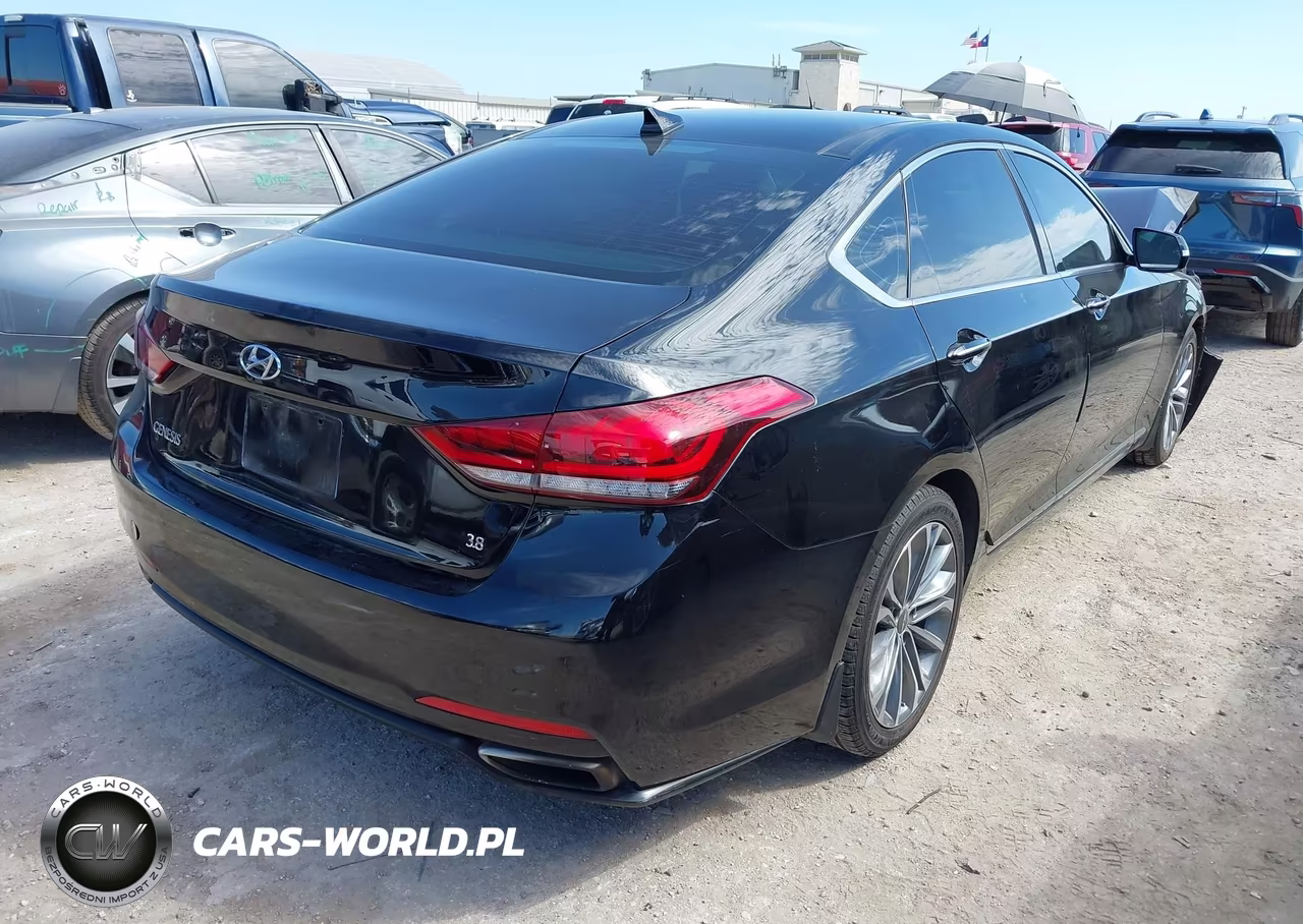 2016 Hyundai Genesis 3.8 VIN:KMHGN4JE5GU122062 - 4