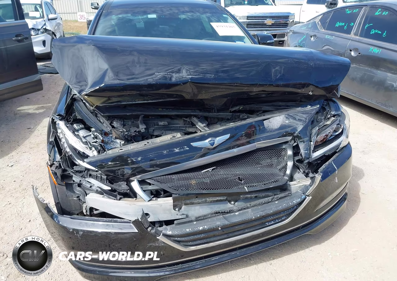 2016 Hyundai Genesis 3.8 VIN:KMHGN4JE5GU122062 - 6