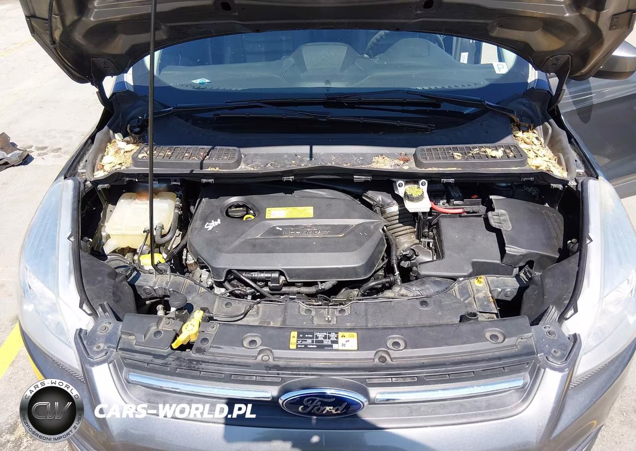 2014 Ford Escape Se VIN:1FMCU0GX6EUB80732 - 10