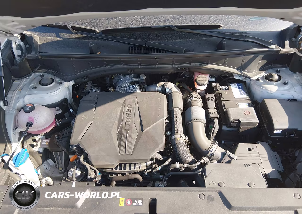 2024 Hyundai Santa Fe Limited VIN:5NMP4DGL0RH041008 - 10
