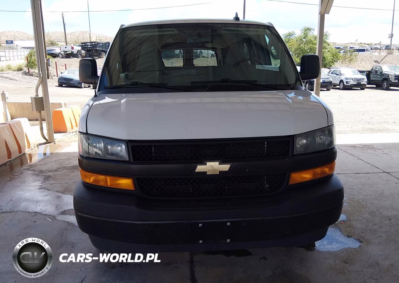 2020 Chevrolet Express Passenger Rwd 3500 Extended Wheelbase Ls VIN:1GAZGNFG2L1251002 - 12
