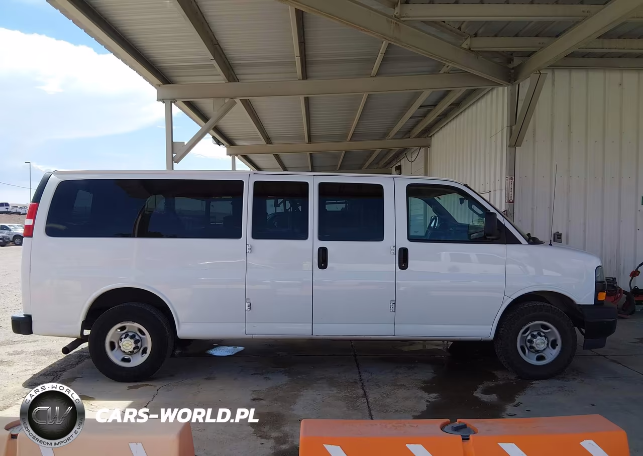 2020 Chevrolet Express Passenger Rwd 3500 Extended Wheelbase Ls VIN:1GAZGNFG2L1251002 - 13
