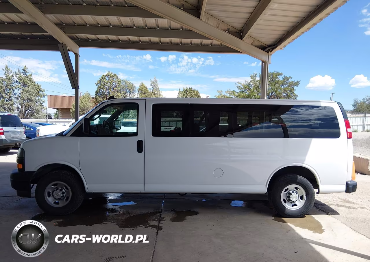 2020 Chevrolet Express Passenger Rwd 3500 Extended Wheelbase Ls VIN:1GAZGNFG2L1251002 - 14