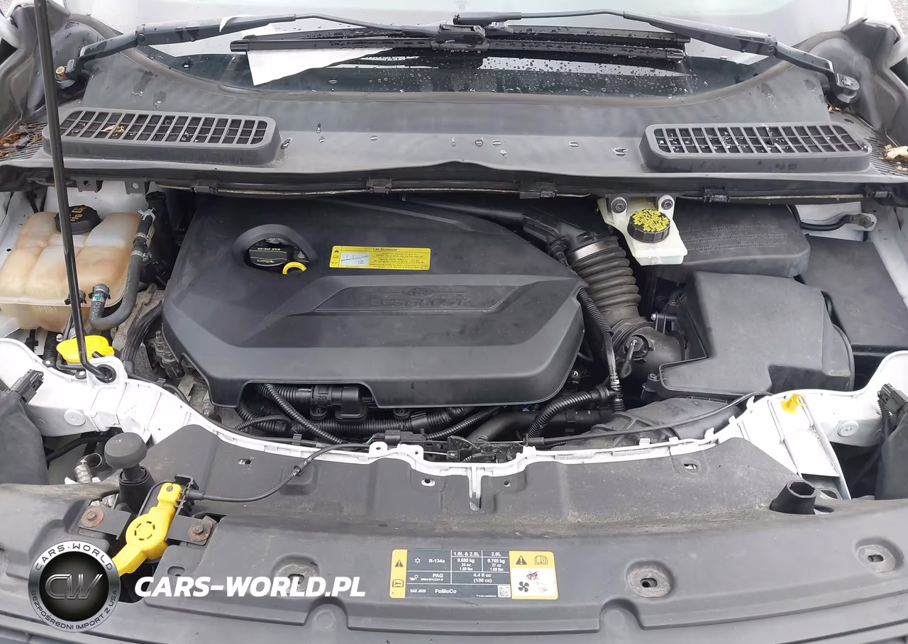 2014 Ford Escape Se VIN:1FMCU9GX6EUB53180 - 10