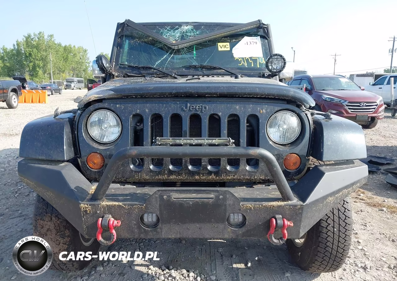 2010 Jeep Wrangler Unlimited Sahara VIN:1J4HA5H19AL146059 - 12